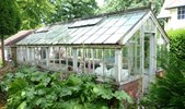 Greenhouse before
